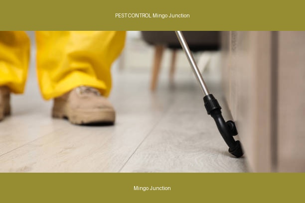 PEST CONTROL Mingo Junction